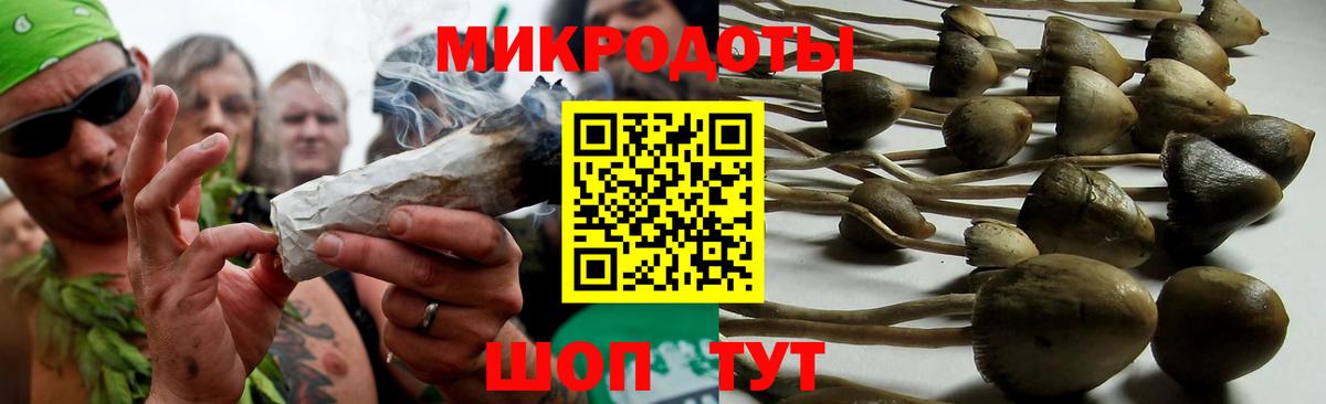 Галлюциногенные грибы Psilocybe Карабулак